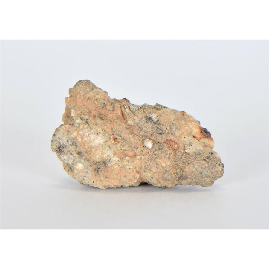 Aubrite Achondrite 8.3g Meteorite Fragment I NWA 13304 - TOP METEORITE Image 1