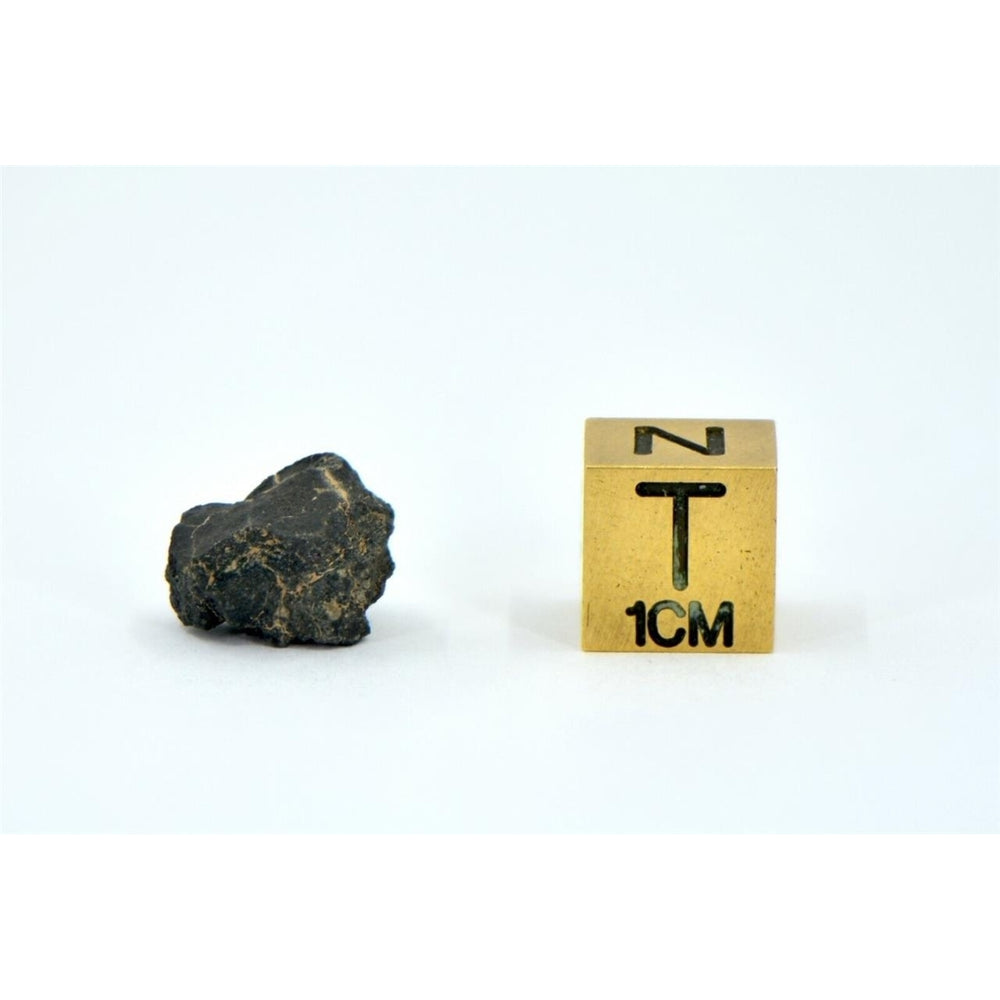 1.11g Carbonaceous Chondrite C3-ung I NWA 12416 - TOP METEORITE Image 2