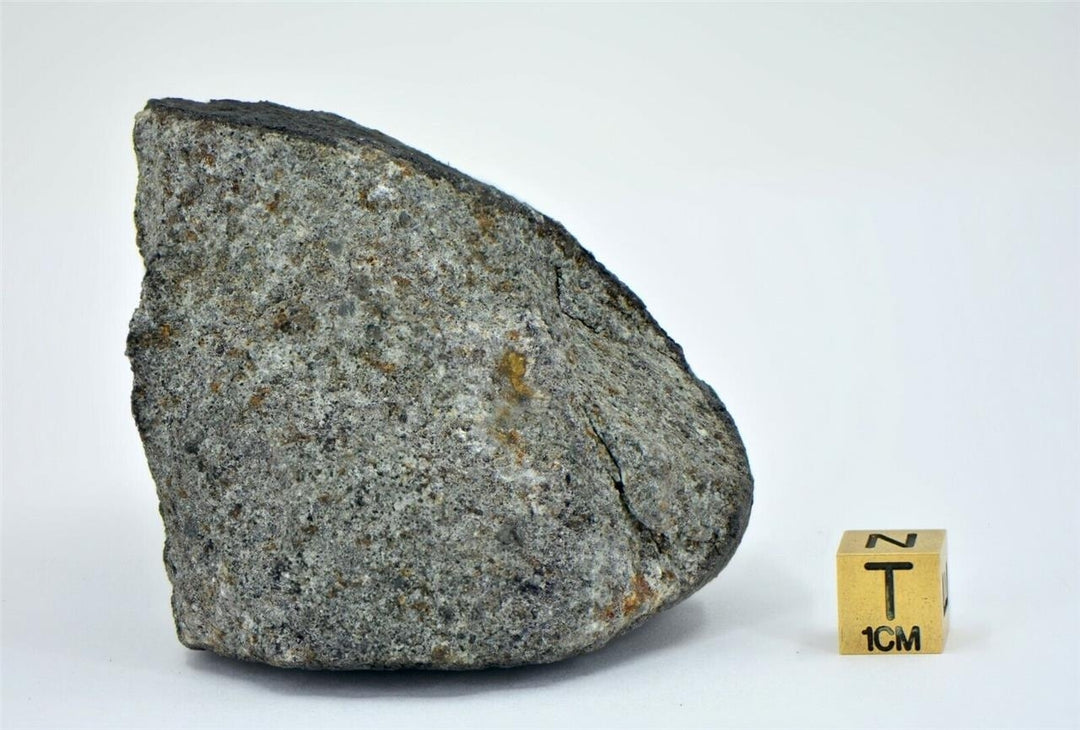 381g Fresh Crusted Chondrite - Witnessed Fall from Mauritania Image 4