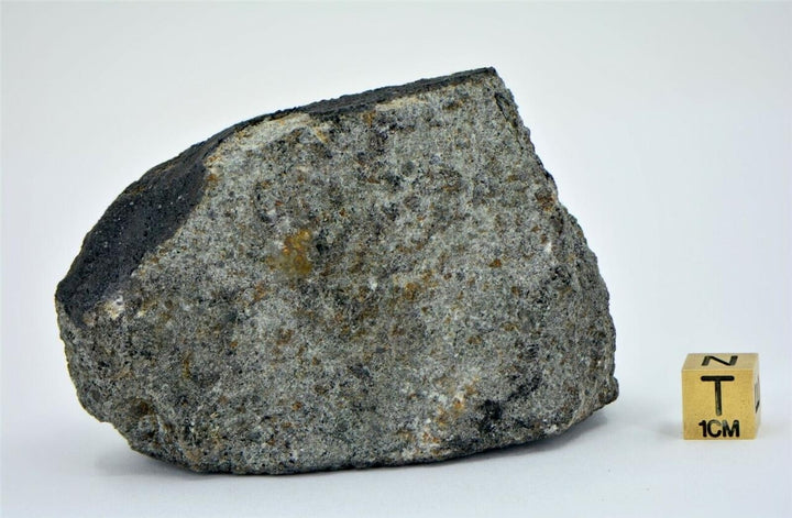 381g Fresh Crusted Chondrite - Witnessed Fall from Mauritania Image 6