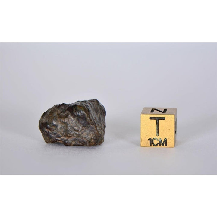 7.38g Lunar Meteorite I Lunar Breccia I NWA 11788 - TOP METEORITE Image 4