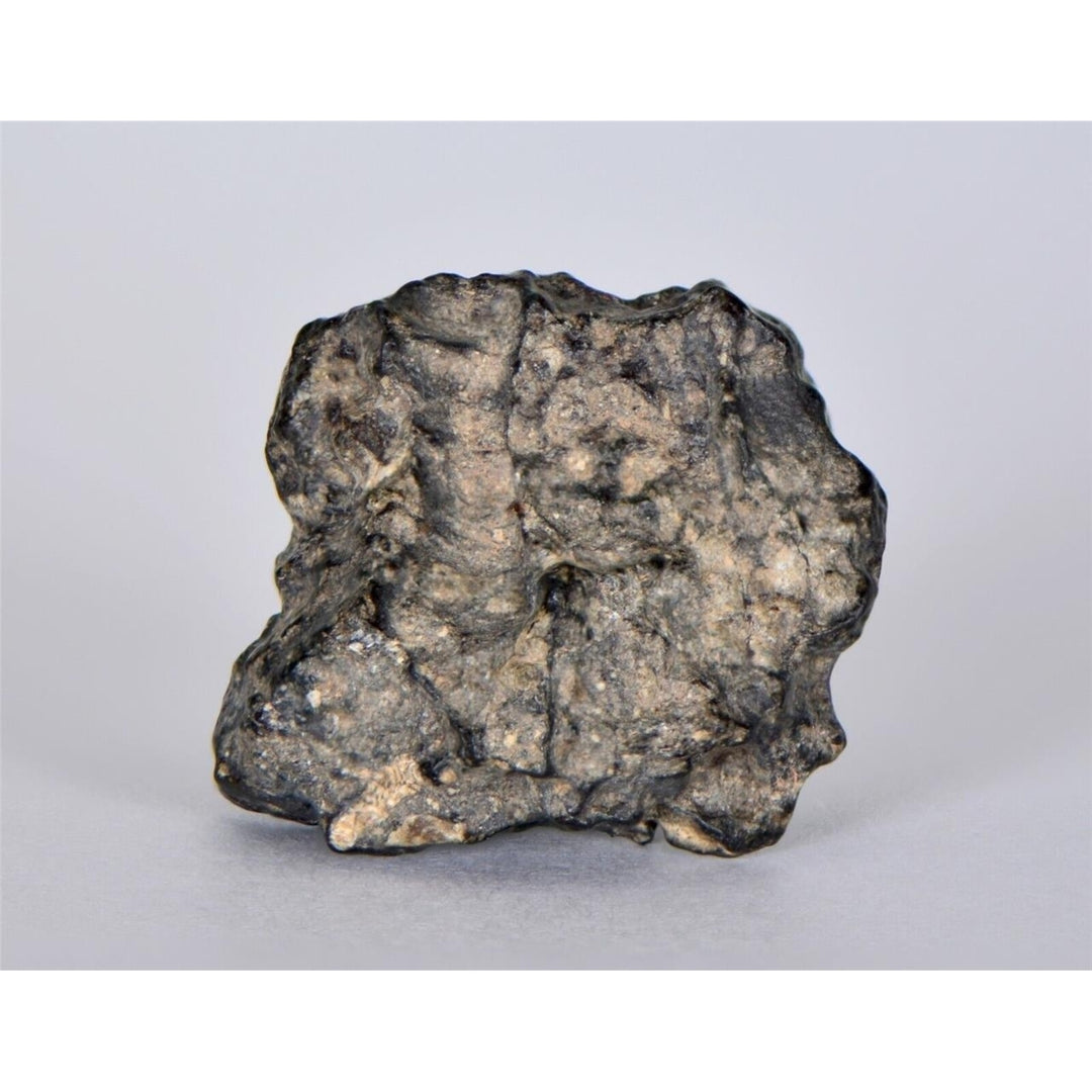 8.01g Lunar Meteorite I Lunar Breccia I NWA 11788 - TOP METEORITE Image 1