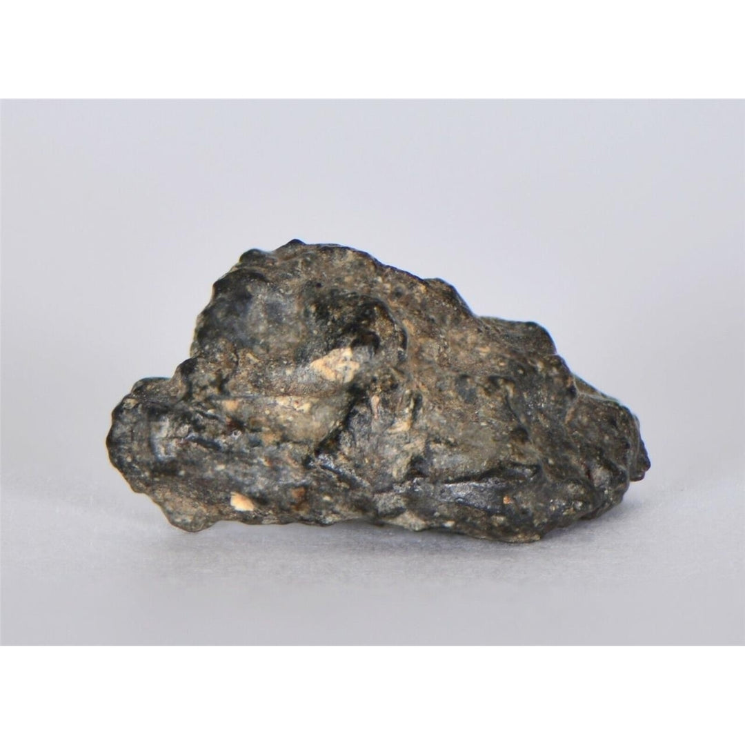 3.04g Lunar Meteorite I Lunar Breccia I NWA 11788 - TOP METEORITE Image 1