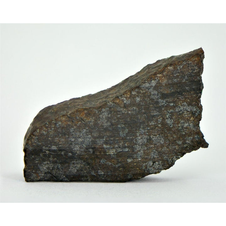 3.73g Ureilite Augite-bearing Meteorite Slice NWA 11900 Achondrite TOP METEORITE Image 3