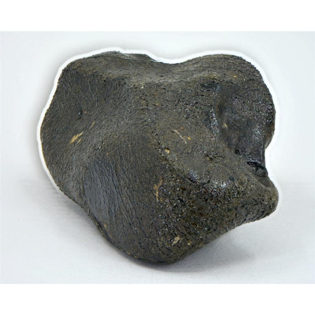 17.89g Sari i ek I Howardite HED Achondrite Witnessed Fall - TOP METEORITE Image 4