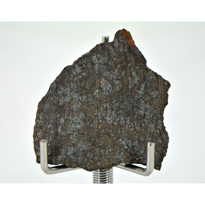 3.39g Ureilite Augite-bearing Meteorite Slice NWA 11900 Achondrite TOP METEORITE Image 1