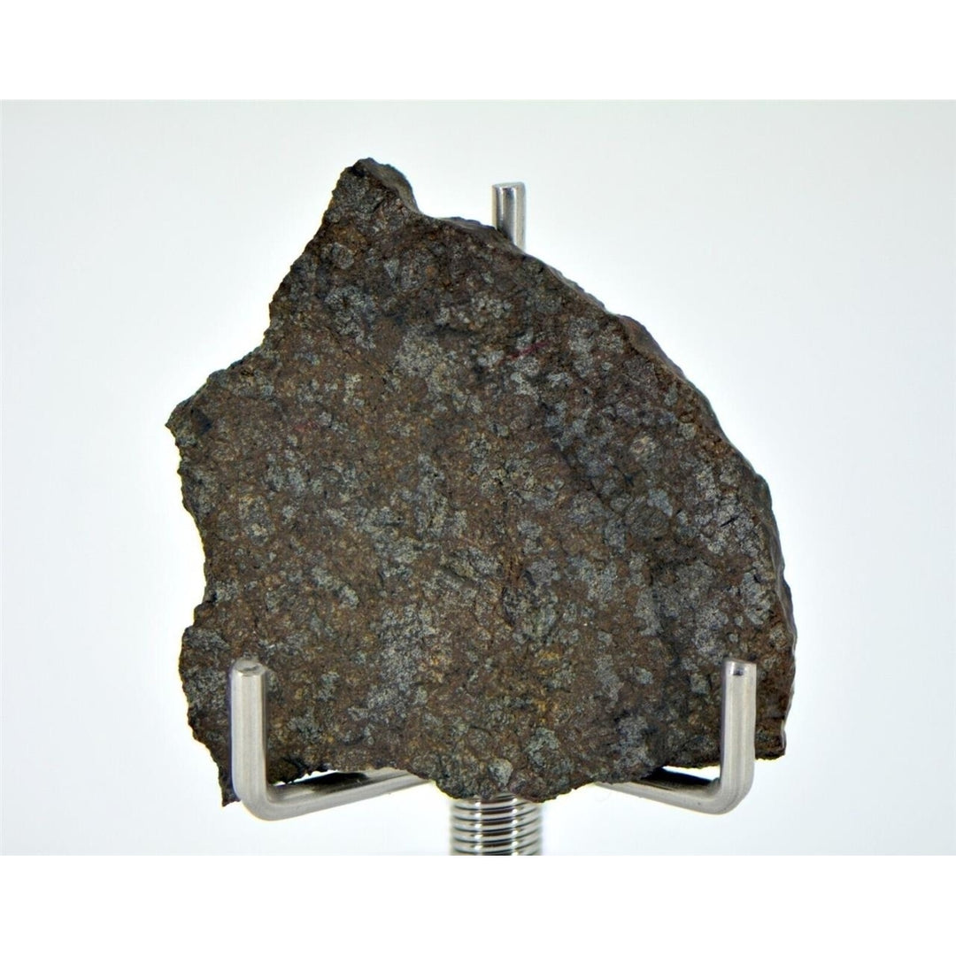 3.39g Ureilite Augite-bearing Meteorite Slice NWA 11900 Achondrite TOP METEORITE Image 2