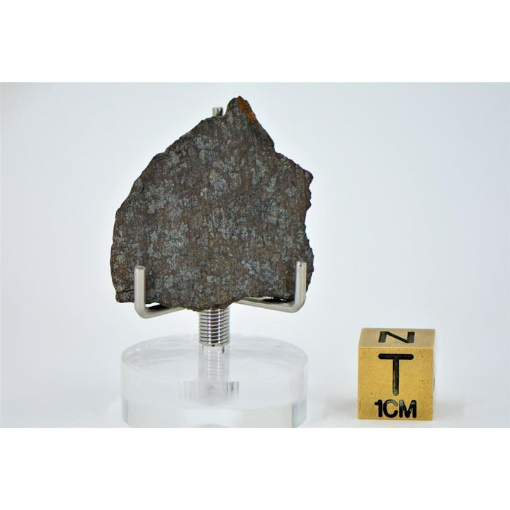 3.39g Ureilite Augite-bearing Meteorite Slice NWA 11900 Achondrite TOP METEORITE Image 3