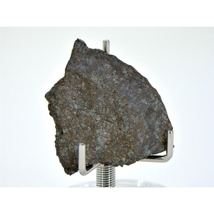 3.39g Ureilite Augite-bearing Meteorite Slice NWA 11900 Achondrite TOP METEORITE Image 4