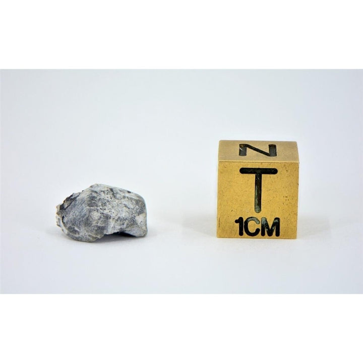 0.92g Aubrite Meteorite fragment - TIGLIT I 2021 Observed Fall - TOP METEORITE Image 4