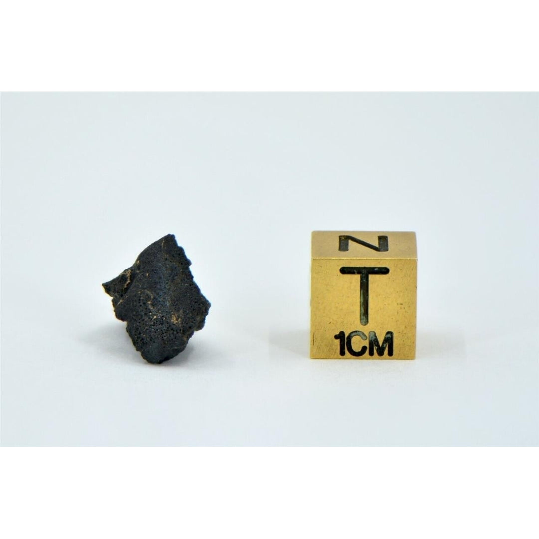 1.02g Carbonaceous Chondrite C3-ung I NWA 12416 - TOP METEORITE Image 3