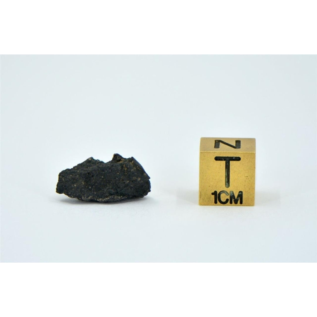 1.02g Carbonaceous Chondrite C3-ung I NWA 12416 - TOP METEORITE Image 4