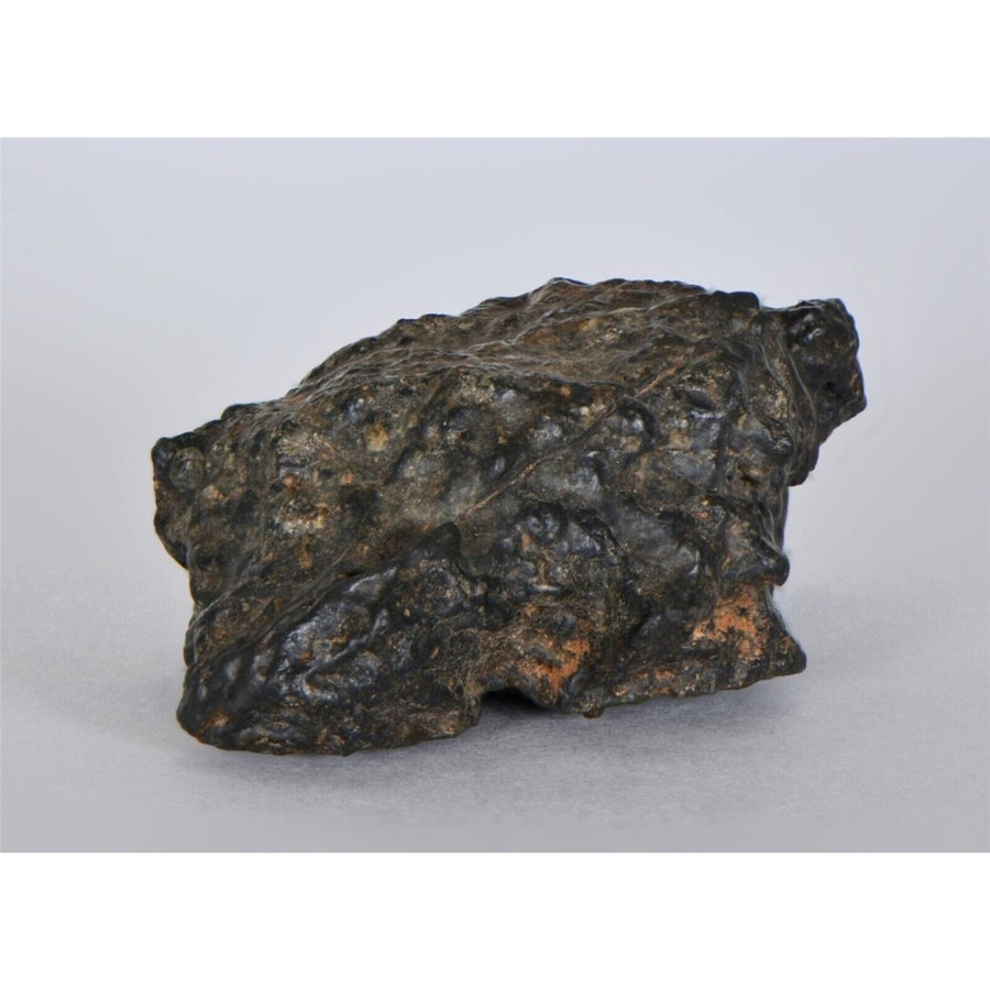 33.45g Lunar Meteorite I Lunar Breccia I NWA 11788 - TOP METEORITE Image 1