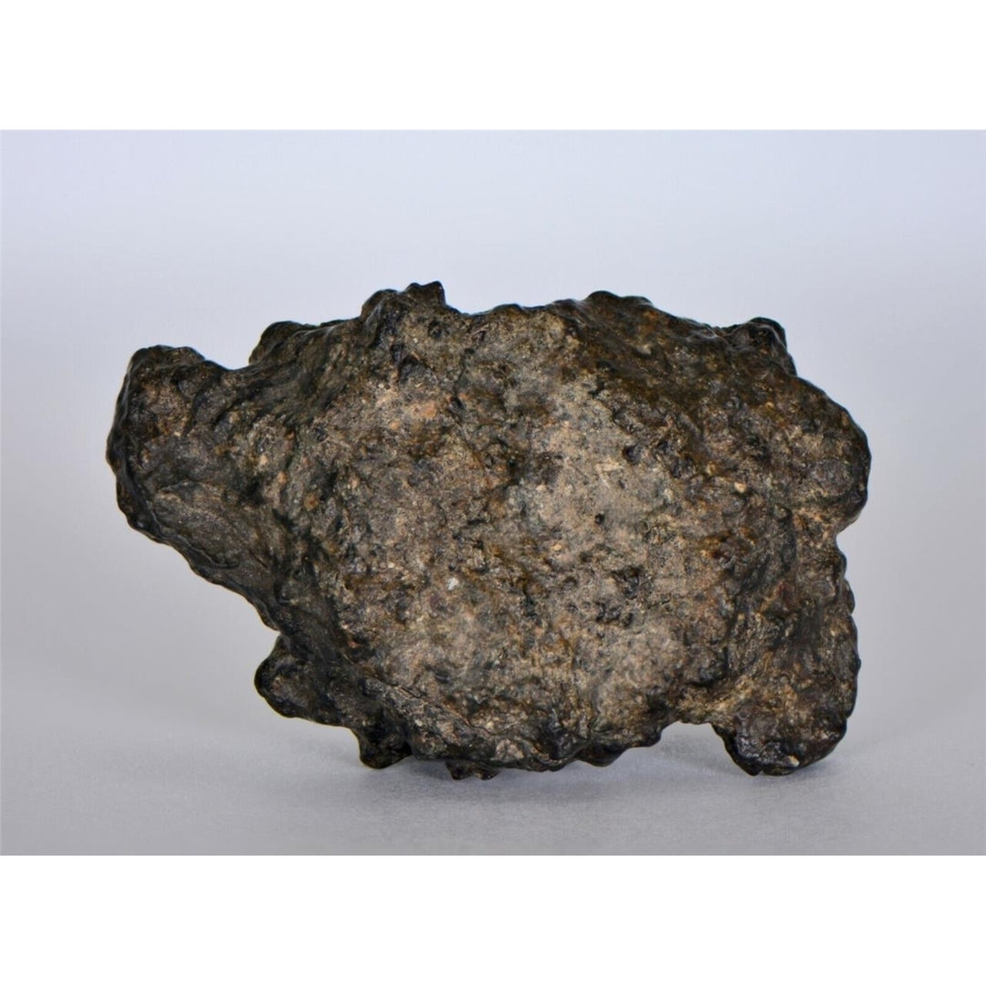 33.45g Lunar Meteorite I Lunar Breccia I NWA 11788 - TOP METEORITE Image 2