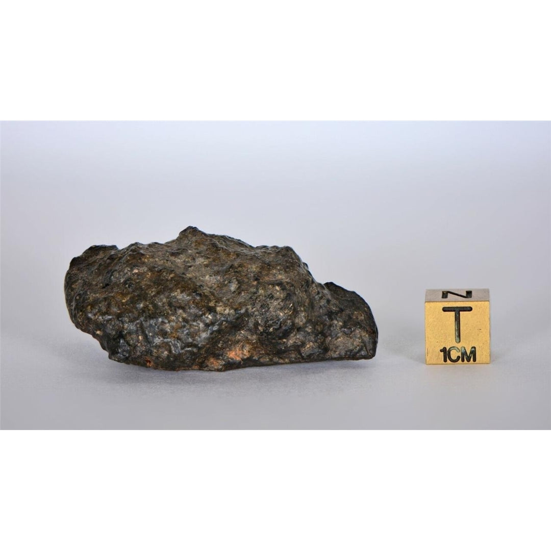 33.45g Lunar Meteorite I Lunar Breccia I NWA 11788 - TOP METEORITE Image 4