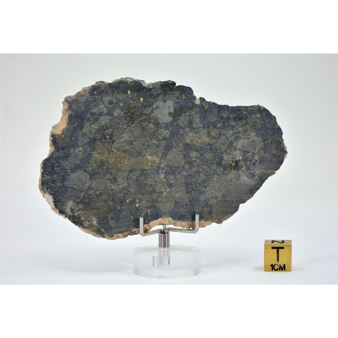 29.57g Eucrite Monomict Slice HED NWA 8555 - TOP METEORITE Image 2