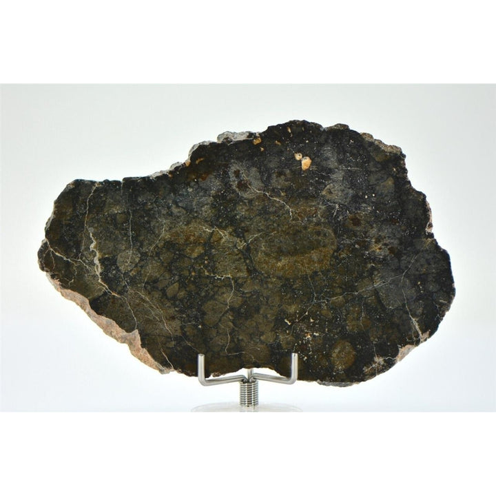 29.57g Eucrite Monomict Slice HED NWA 8555 - TOP METEORITE Image 3