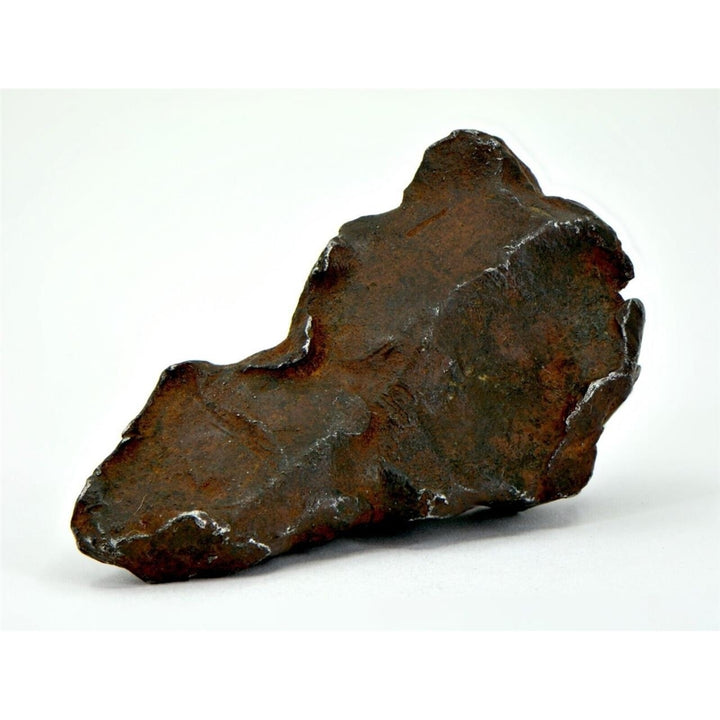 61.5 gram GEBEL KAMIL meteorite - Ungrouped Iron Meteorite - TOP METEORITE Image 1