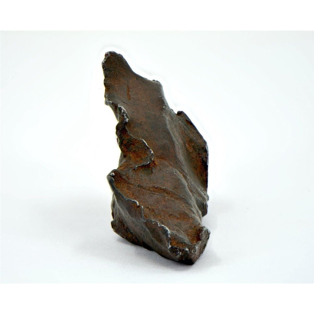 61.5 gram GEBEL KAMIL meteorite - Ungrouped Iron Meteorite - TOP METEORITE Image 2