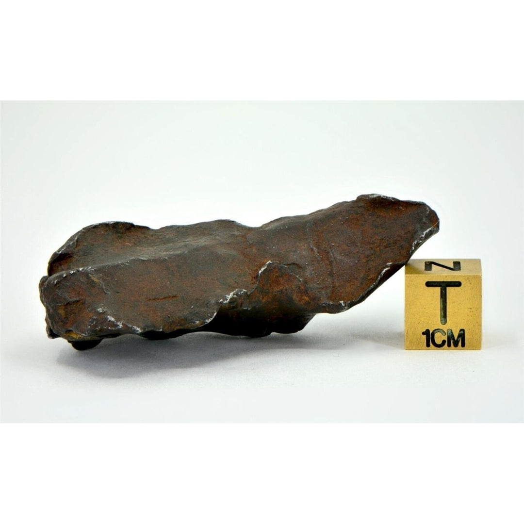 61.5 gram GEBEL KAMIL meteorite - Ungrouped Iron Meteorite - TOP METEORITE Image 3