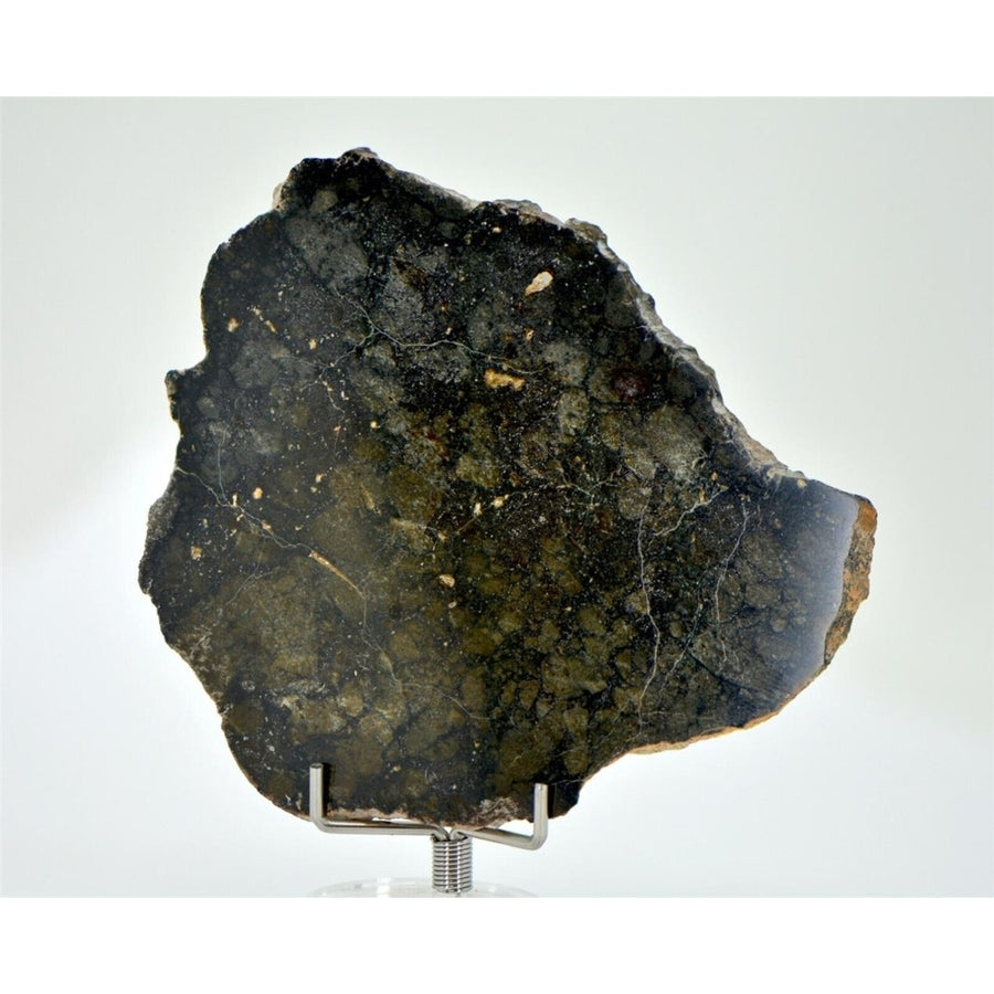 30.58g Eucrite Monomict Slice HED NWA 8555 - TOP METEORITE Image 1