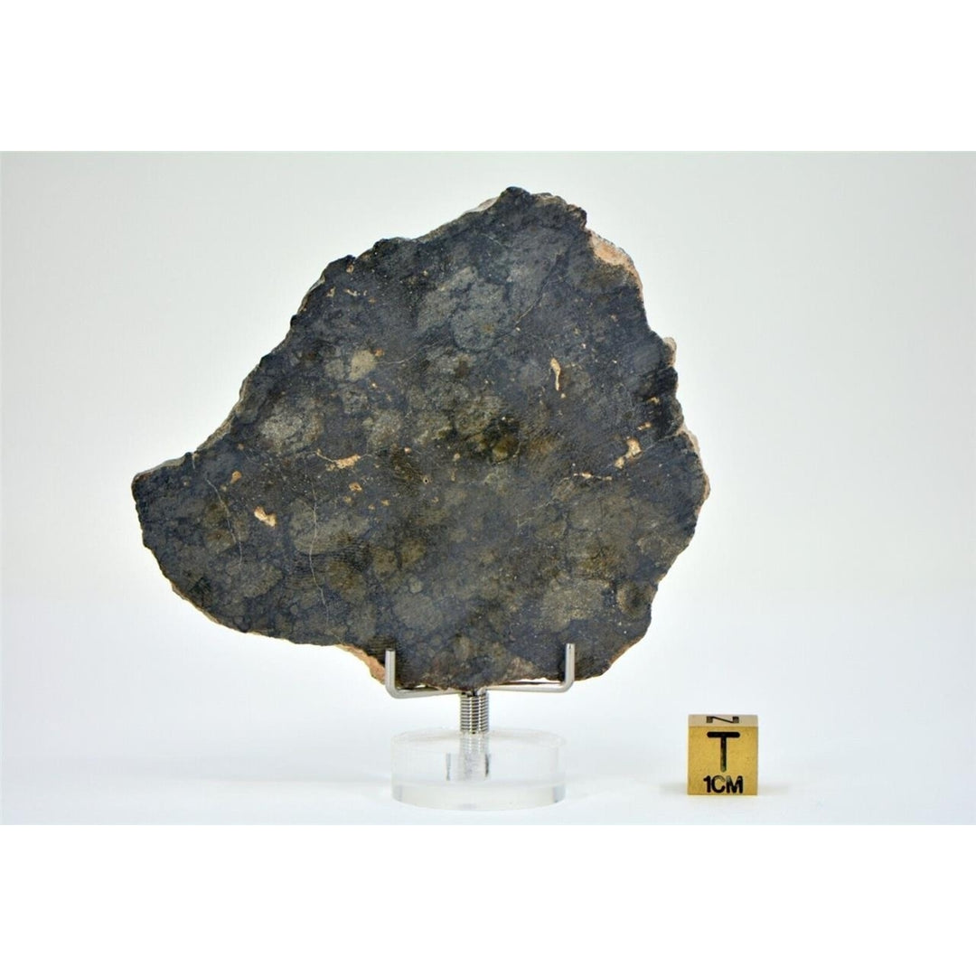 30.58g Eucrite Monomict Slice HED NWA 8555 - TOP METEORITE Image 2