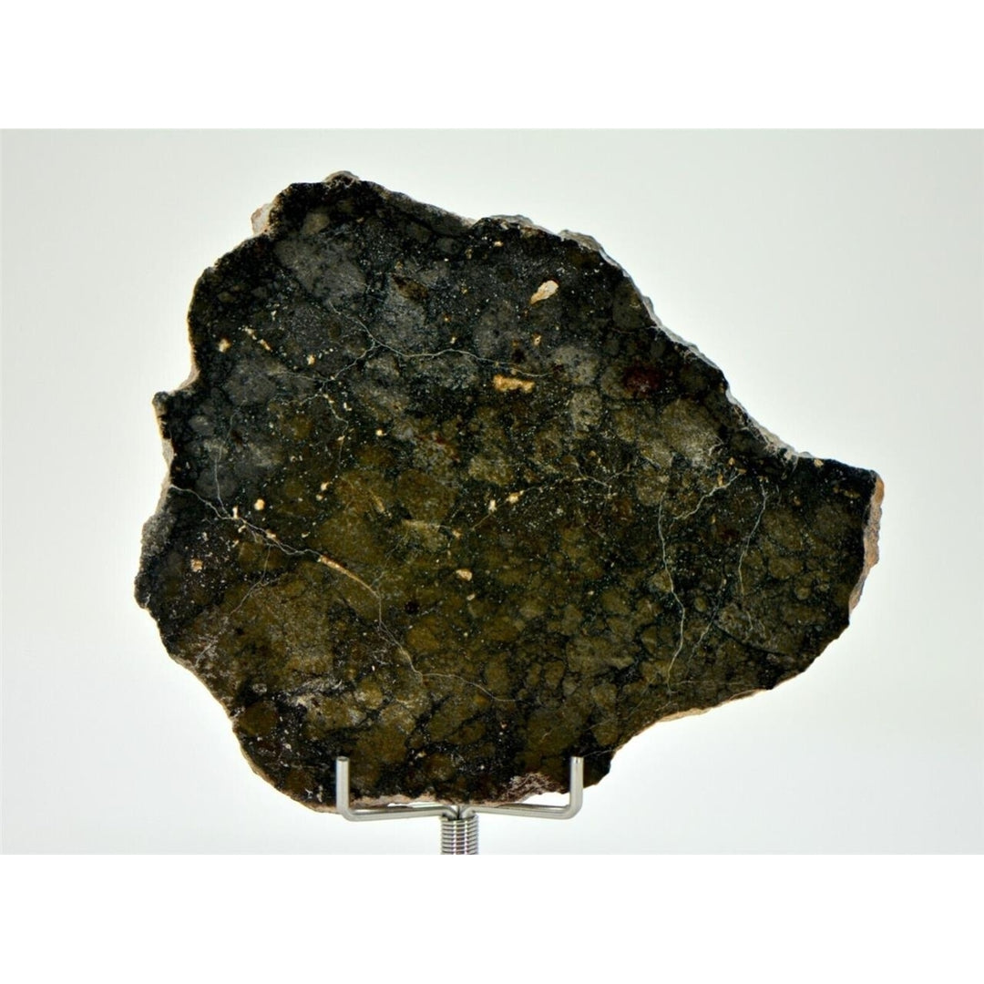 30.58g Eucrite Monomict Slice HED NWA 8555 - TOP METEORITE Image 3