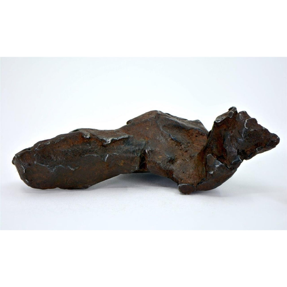 89.0 gram GEBEL KAMIL meteorite - Ungrouped Iron Meteorite - TOP METEORITE Image 2