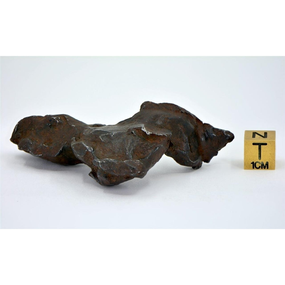 89.0 gram GEBEL KAMIL meteorite - Ungrouped Iron Meteorite - TOP METEORITE Image 3