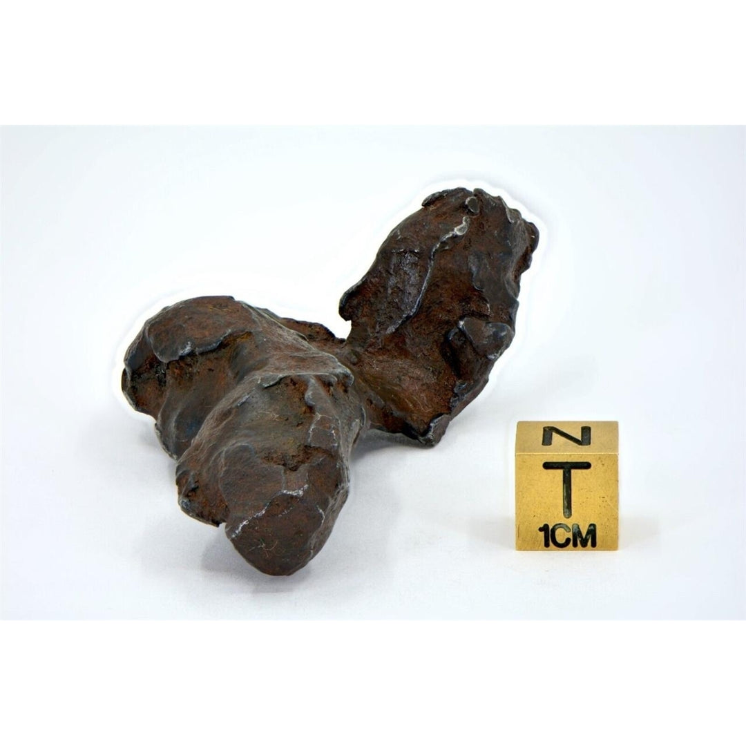 89.0 gram GEBEL KAMIL meteorite - Ungrouped Iron Meteorite - TOP METEORITE Image 4