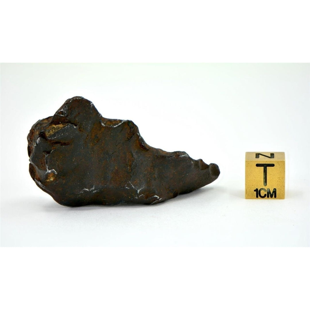 61.5 gram GEBEL KAMIL meteorite - Ungrouped Iron Meteorite - TOP METEORITE Image 4