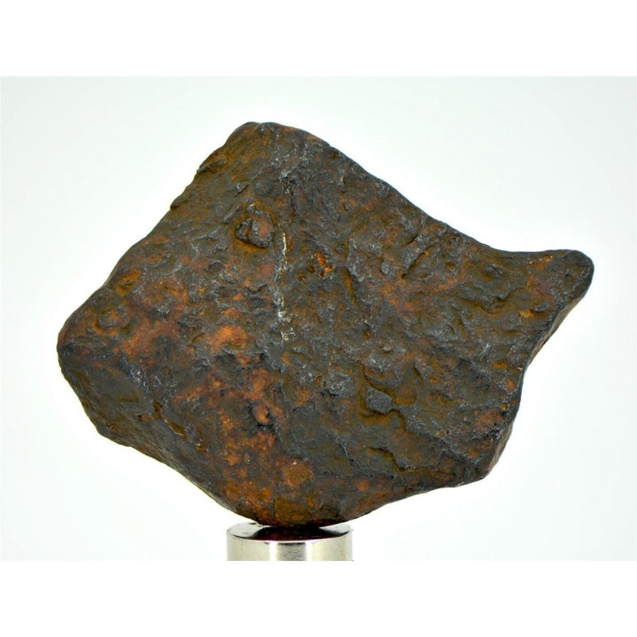 37.5 gram CANYON DIABLO meteorite - IAB Iron Meteorite - TOP METEORITE Image 1