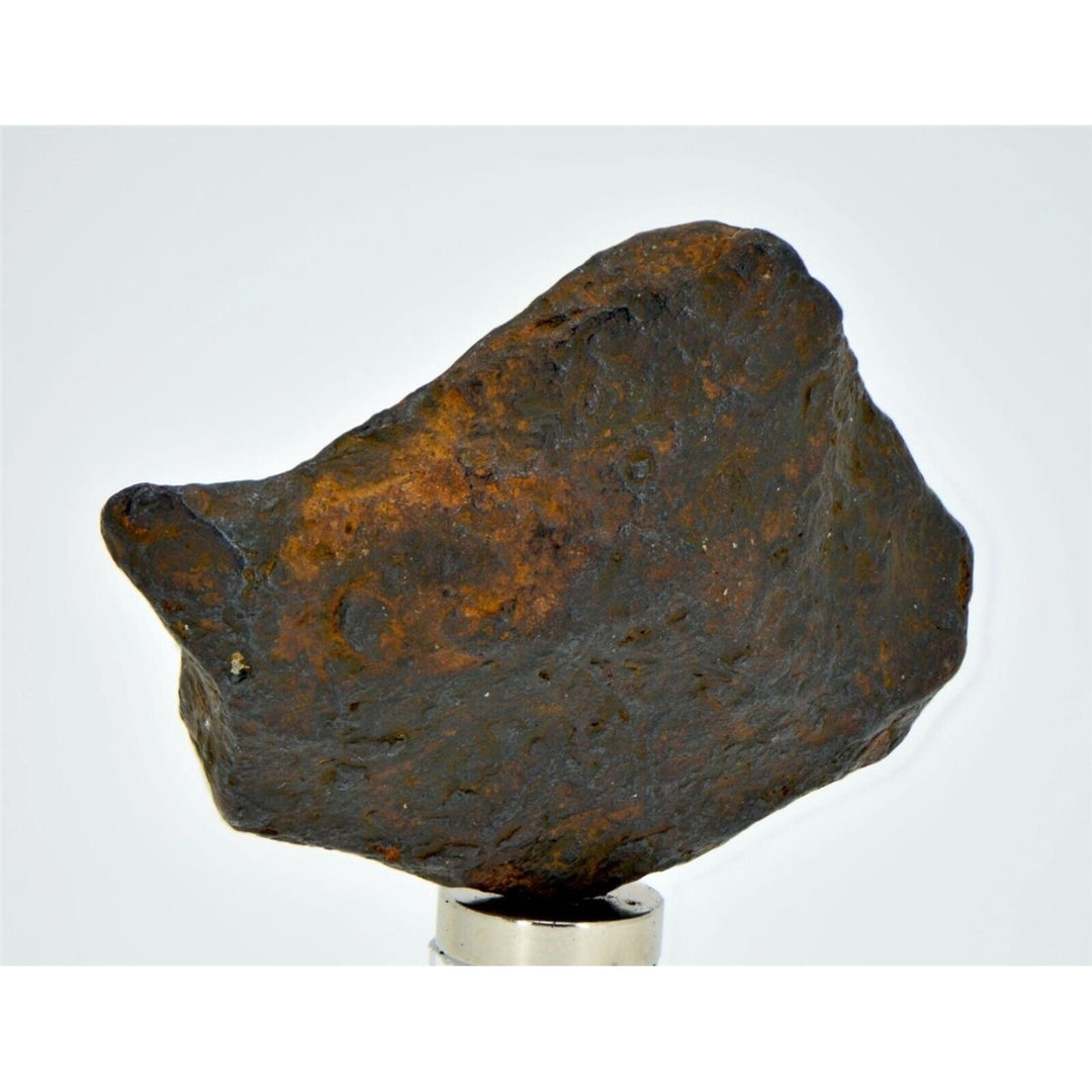 37.5 gram CANYON DIABLO meteorite - IAB Iron Meteorite - TOP METEORITE Image 2