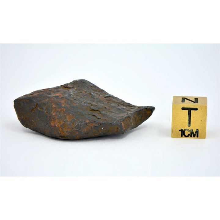 37.5 gram CANYON DIABLO meteorite - IAB Iron Meteorite - TOP METEORITE Image 3