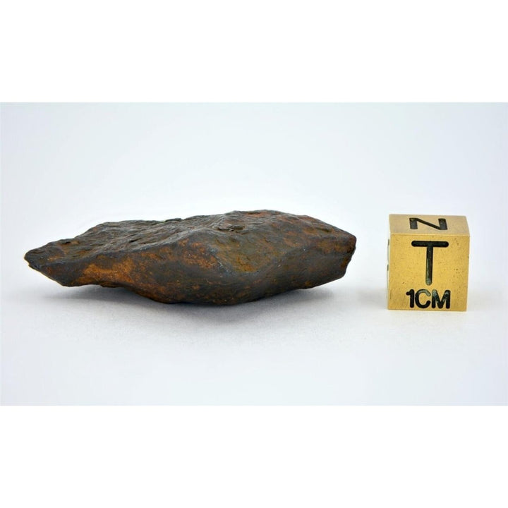 37.5 gram CANYON DIABLO meteorite - IAB Iron Meteorite - TOP METEORITE Image 4