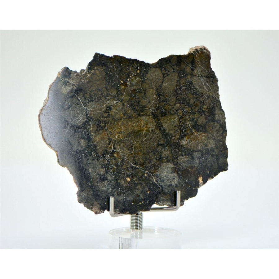 22.46g Eucrite Monomict Slice HED NWA 8555 - TOP METEORITE Image 1