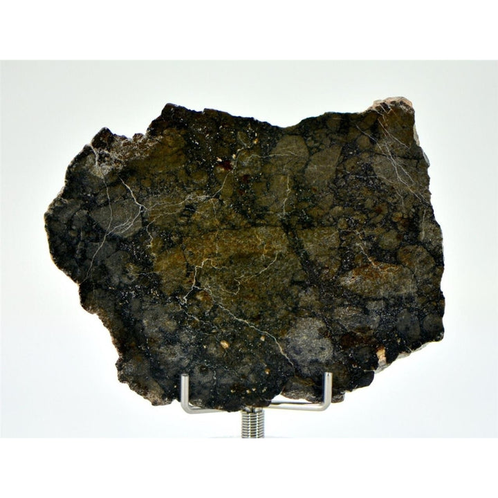 22.46g Eucrite Monomict Slice HED NWA 8555 - TOP METEORITE Image 3