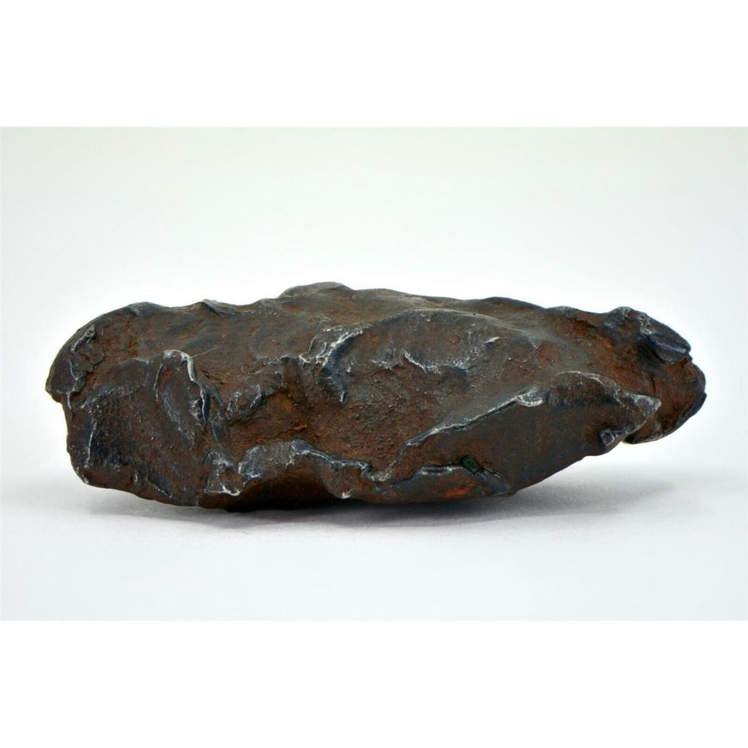 129.6 gram GEBEL KAMIL meteorite - Ungrouped Iron Meteorite - TOP METEORITE Image 1