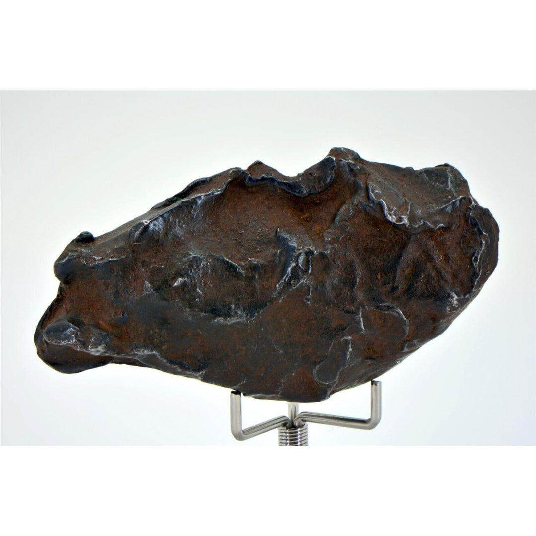 129.6 gram GEBEL KAMIL meteorite - Ungrouped Iron Meteorite - TOP METEORITE Image 3