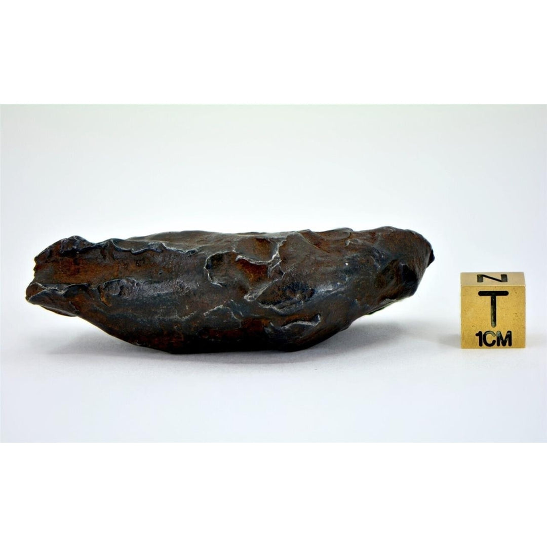 129.6 gram GEBEL KAMIL meteorite - Ungrouped Iron Meteorite - TOP METEORITE Image 4