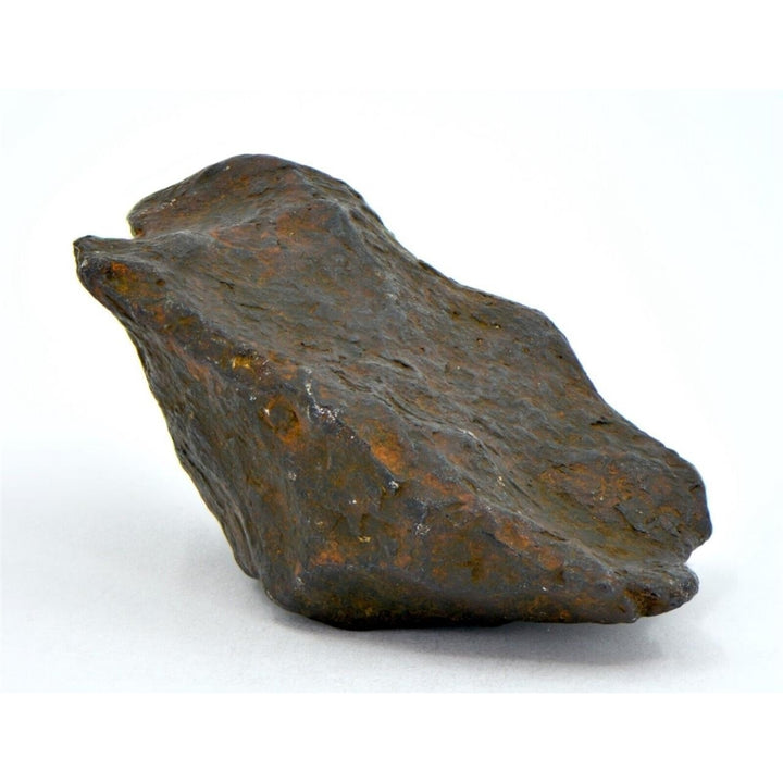 41.5 gram CANYON DIABLO meteorite - IAB Iron Meteorite - TOP METEORITE Image 1