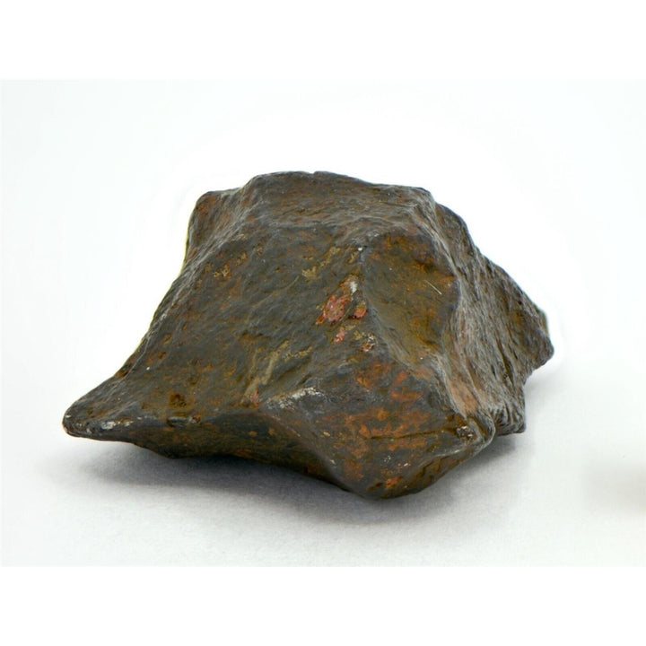 41.5 gram CANYON DIABLO meteorite - IAB Iron Meteorite - TOP METEORITE Image 2