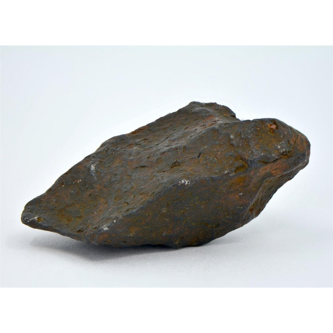 41.5 gram CANYON DIABLO meteorite - IAB Iron Meteorite - TOP METEORITE Image 3