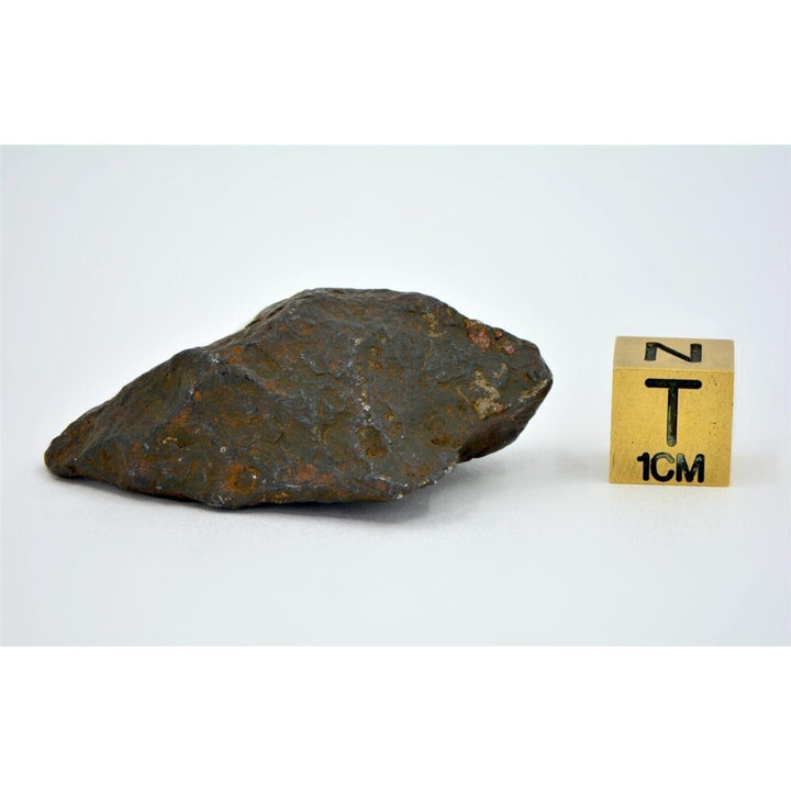 41.5 gram CANYON DIABLO meteorite - IAB Iron Meteorite - TOP METEORITE Image 4