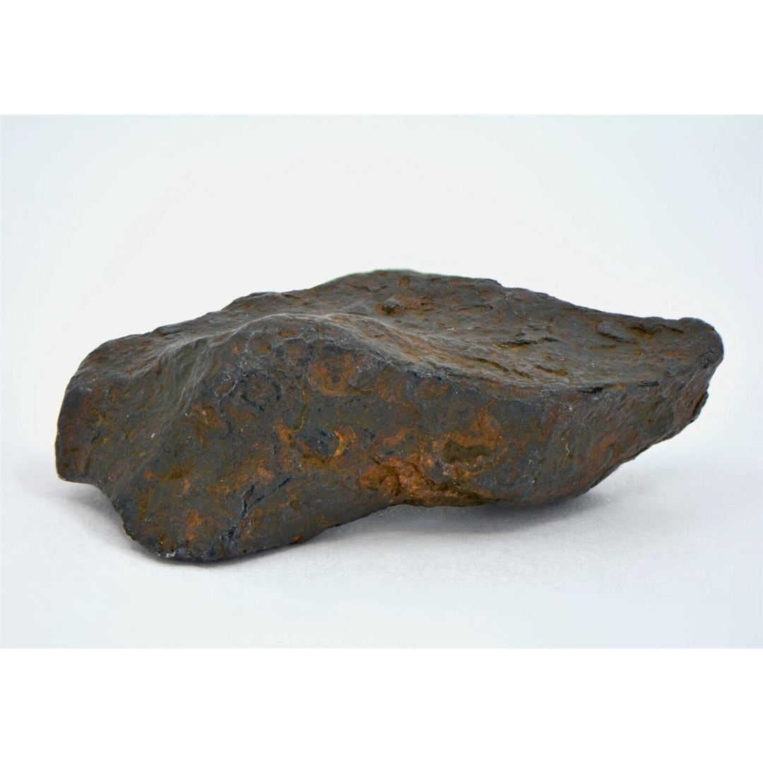 31.5 gram CANYON DIABLO meteorite - IAB Iron Meteorite  - TOP METEORITE Image 1