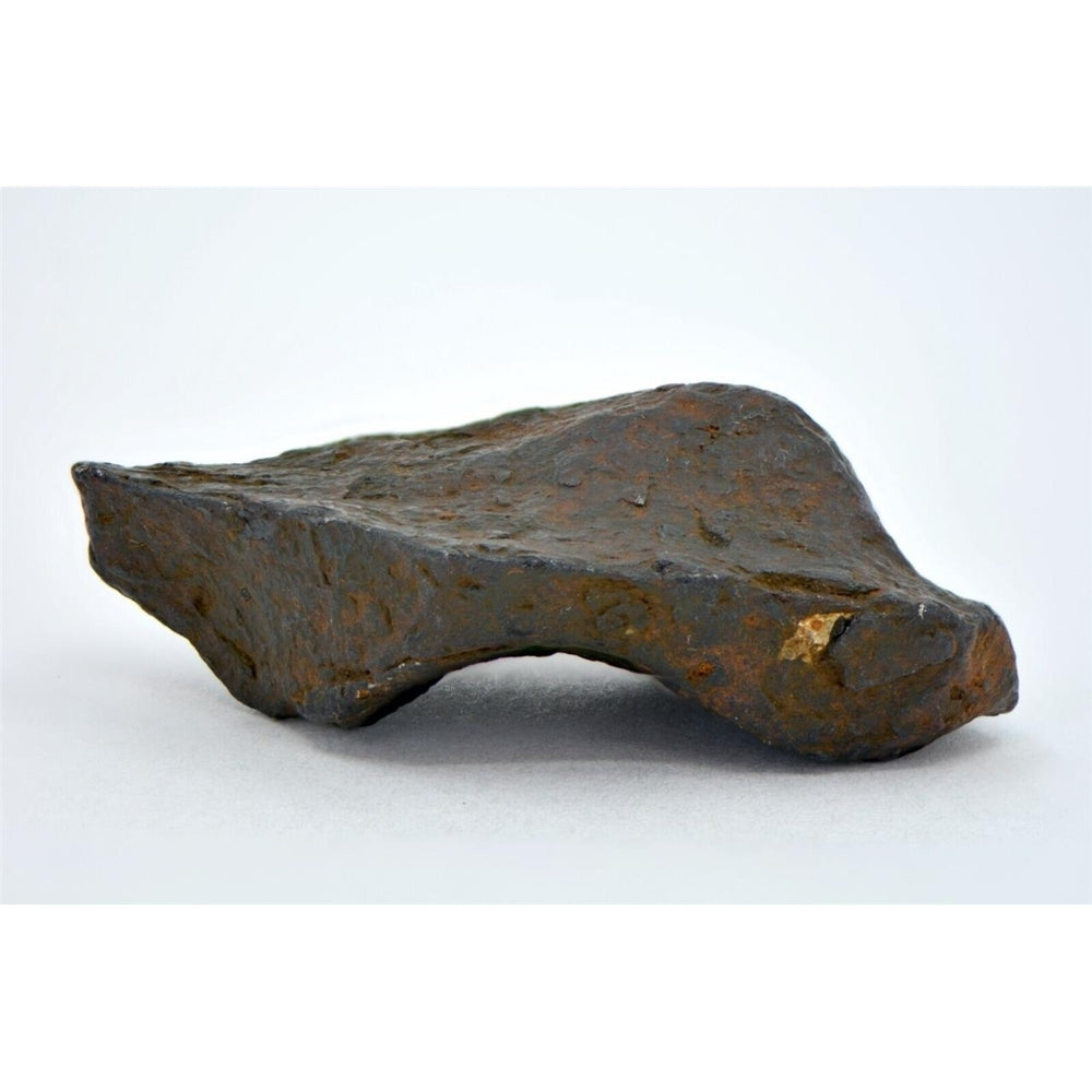31.5 gram CANYON DIABLO meteorite - IAB Iron Meteorite  - TOP METEORITE Image 2