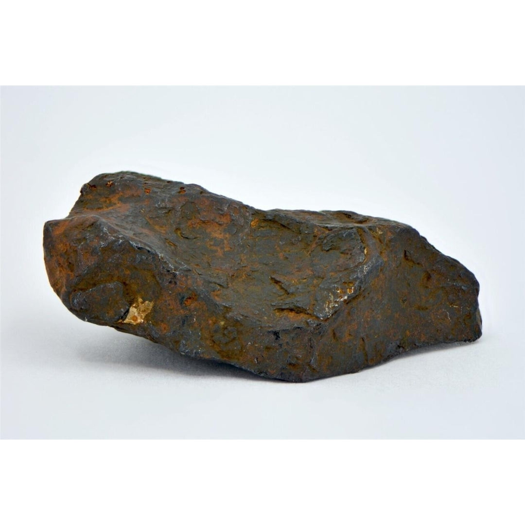 31.5 gram CANYON DIABLO meteorite - IAB Iron Meteorite  - TOP METEORITE Image 3