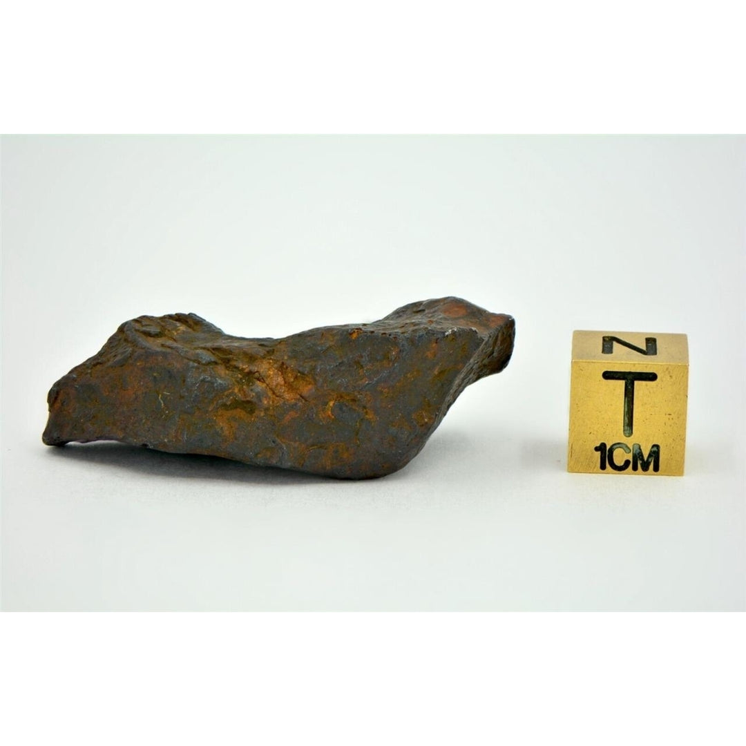 31.5 gram CANYON DIABLO meteorite - IAB Iron Meteorite  - TOP METEORITE Image 4