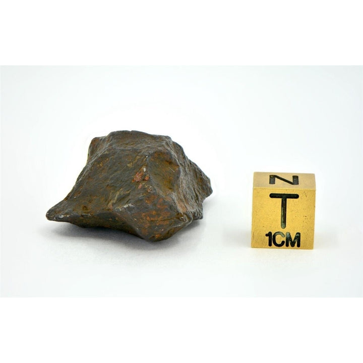 41.5 gram CANYON DIABLO meteorite - IAB Iron Meteorite - TOP METEORITE Image 4