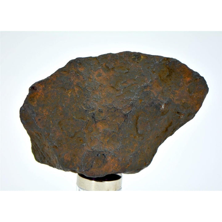 25.3 gram CANYON DIABLO meteorite - IAB Iron Meteorite - TOP METEORITE Image 1